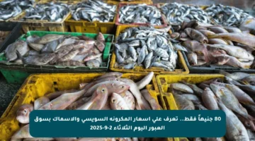 80 جنيهاً فقط.. تعرف على أسعار المكرونة السويسي والأسماك بسوق العبور اليوم الثلاثاء 2-9-2025